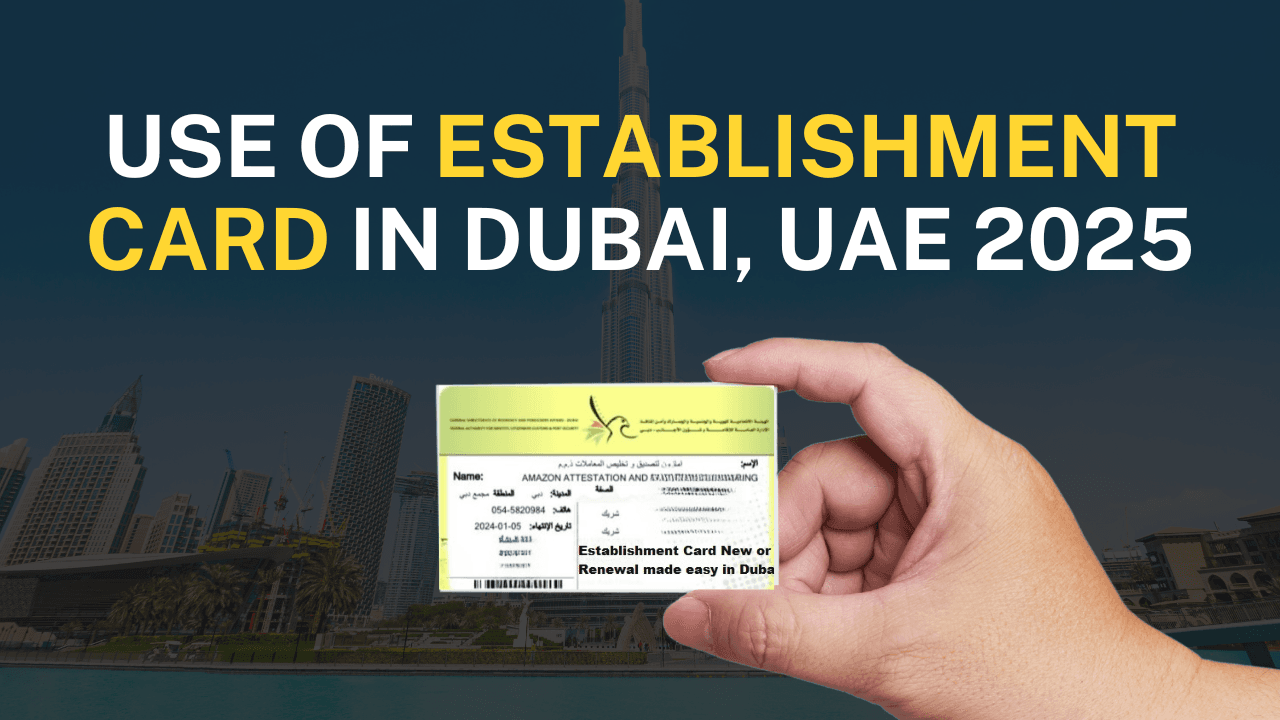 Establishment card in Dubai 2025 Ab capital services