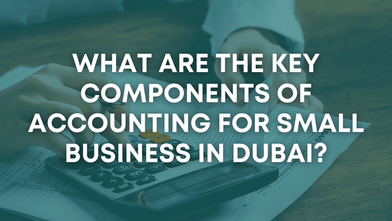 What are the Key Components of Accounting for Small Business in Dubai