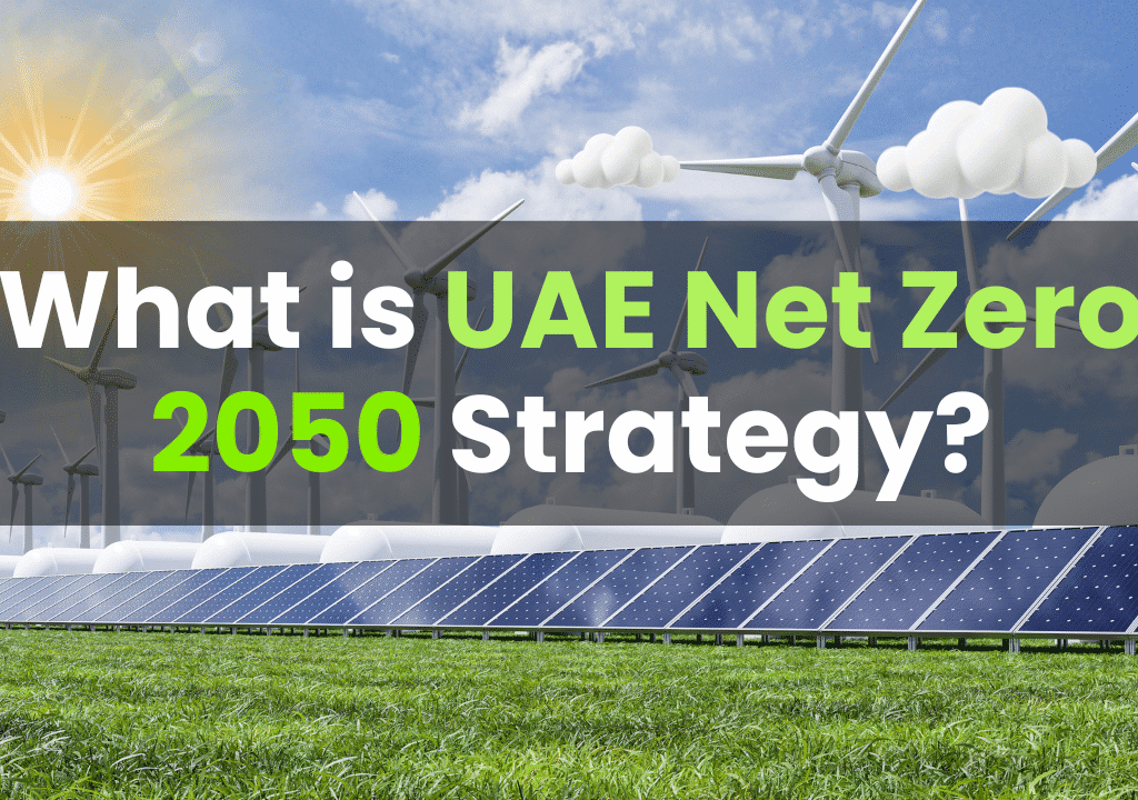 What is UAE Net Zero 2050 Strategy