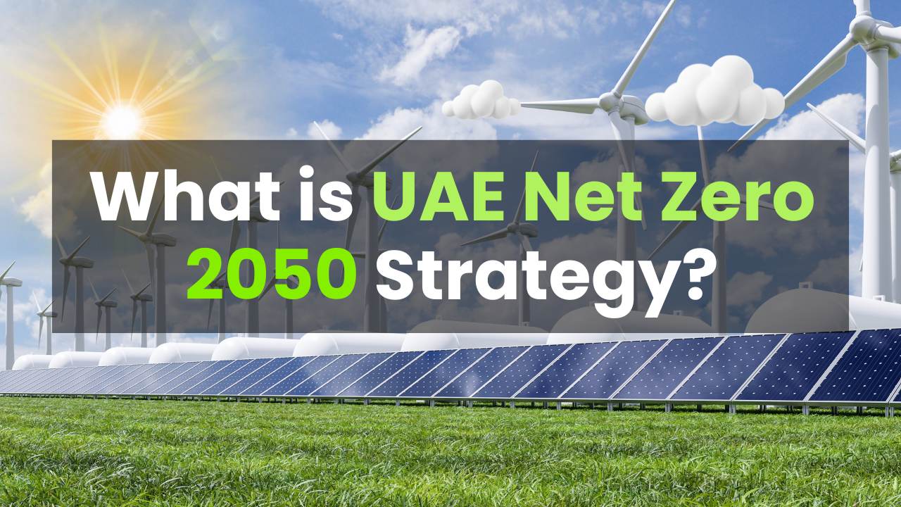 What is UAE Net Zero 2050 Strategy